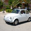 Montevago 2010 (203)